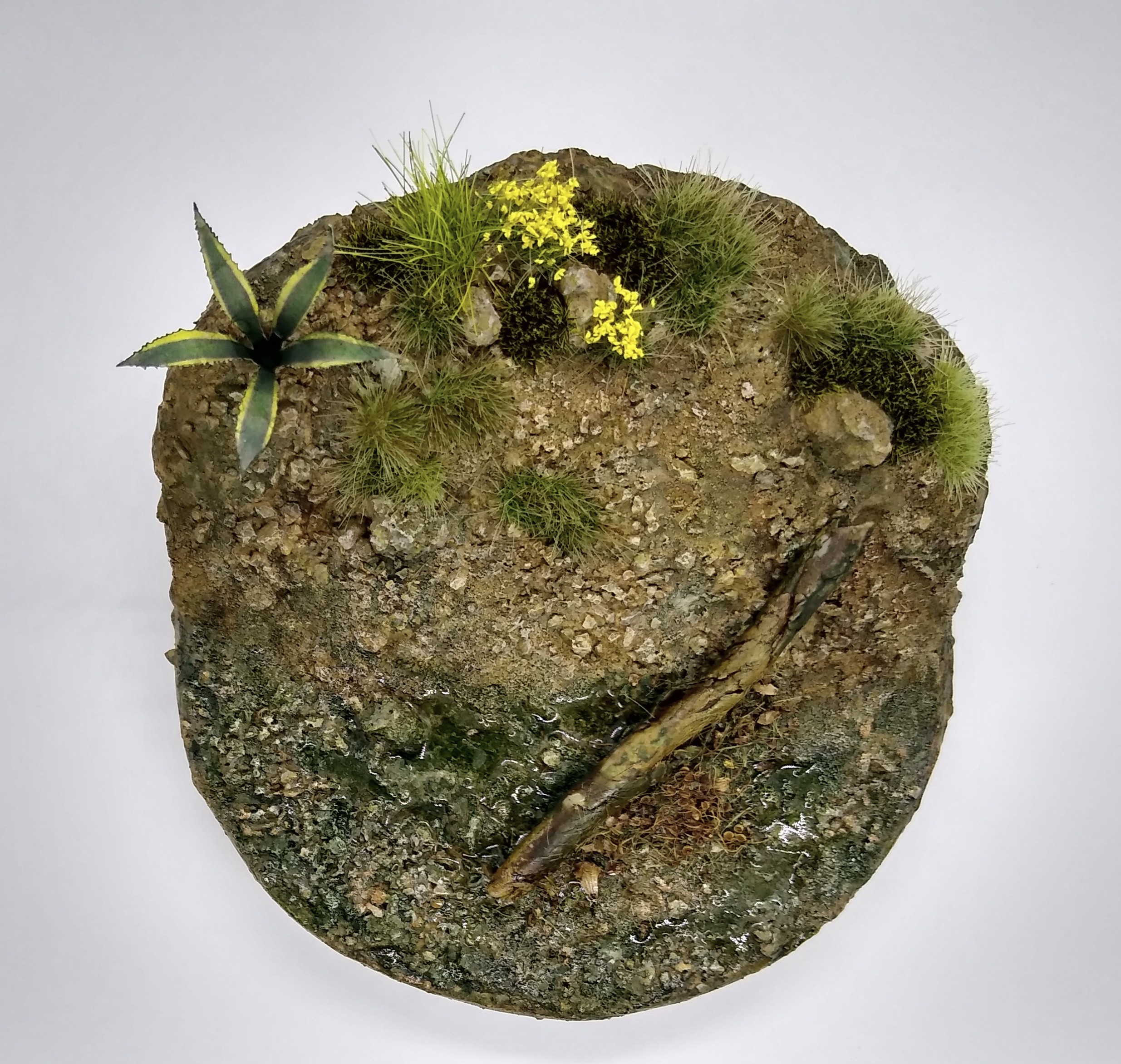 IMG_20220617_204359672_HDR~2