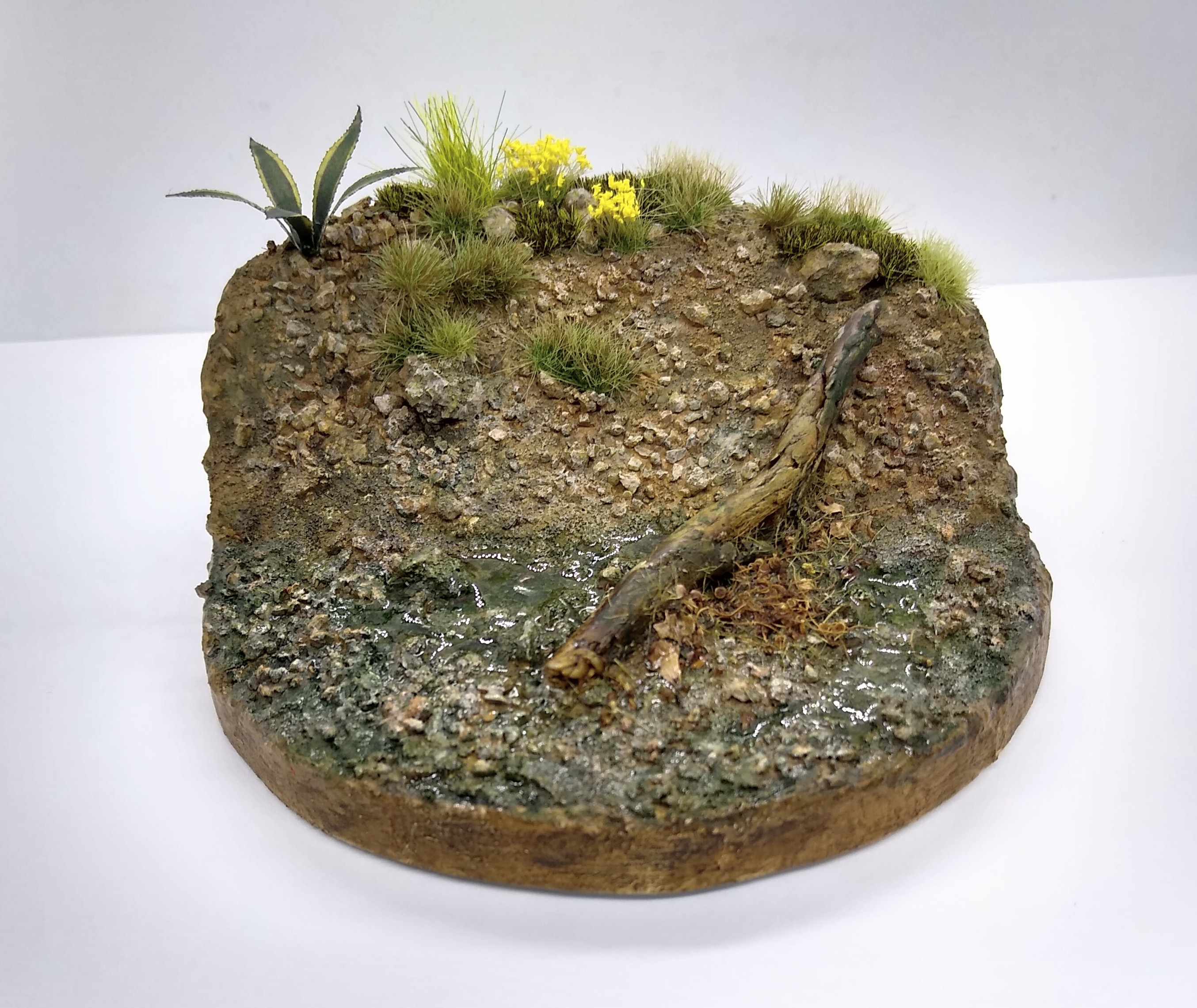 IMG_20220617_204457058_HDR~2